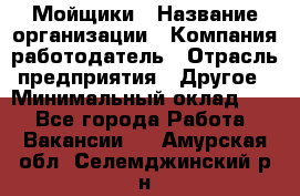 Мойщики › Название организации ­ Компания-работодатель › Отрасль предприятия ­ Другое › Минимальный оклад ­ 1 - Все города Работа » Вакансии   . Амурская обл.,Селемджинский р-н